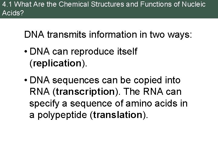 4. 1 What Are the Chemical Structures and Functions of Nucleic Acids? DNA transmits