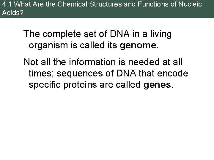 4. 1 What Are the Chemical Structures and Functions of Nucleic Acids? The complete