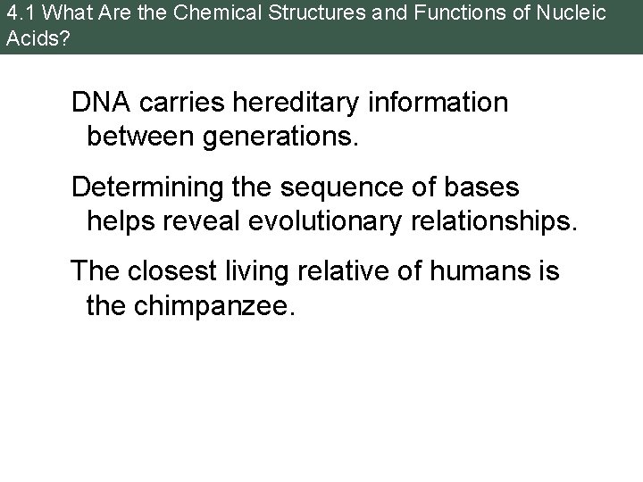 4. 1 What Are the Chemical Structures and Functions of Nucleic Acids? DNA carries
