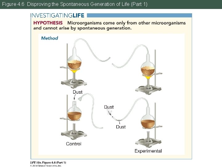 Figure 4. 6 Disproving the Spontaneous Generation of Life (Part 1) 