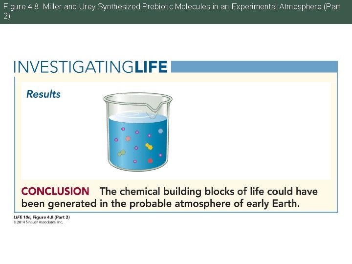 Figure 4. 8 Miller and Urey Synthesized Prebiotic Molecules in an Experimental Atmosphere (Part