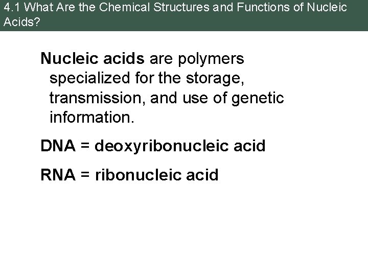 4. 1 What Are the Chemical Structures and Functions of Nucleic Acids? Nucleic acids