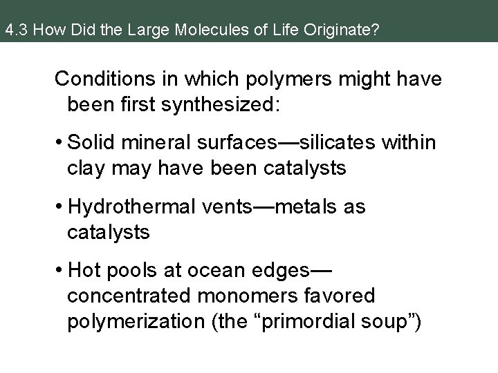 4. 3 How Did the Large Molecules of Life Originate? Conditions in which polymers