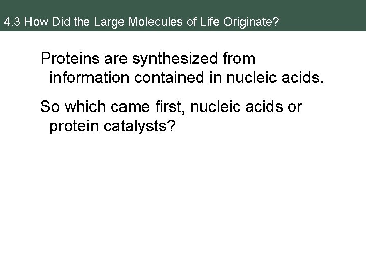 4. 3 How Did the Large Molecules of Life Originate? Proteins are synthesized from