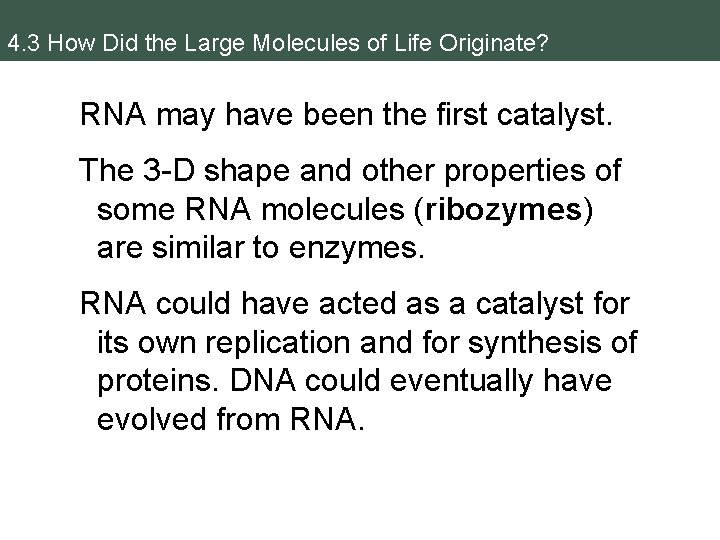 4. 3 How Did the Large Molecules of Life Originate? RNA may have been