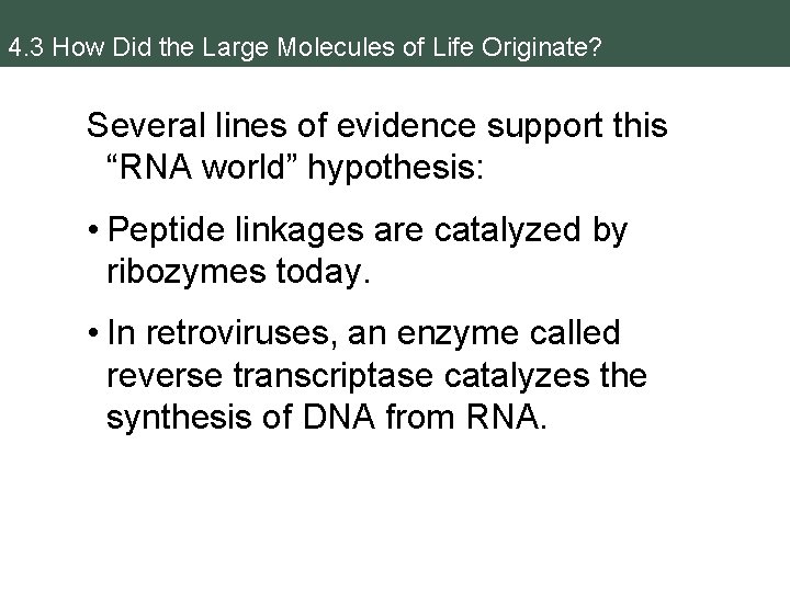 4. 3 How Did the Large Molecules of Life Originate? Several lines of evidence