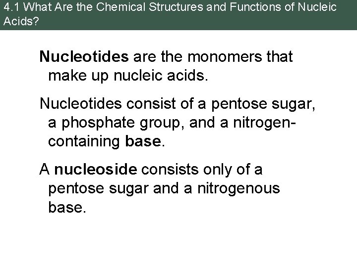 4. 1 What Are the Chemical Structures and Functions of Nucleic Acids? Nucleotides are
