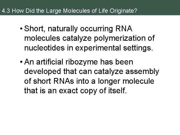 4. 3 How Did the Large Molecules of Life Originate? • Short, naturally occurring