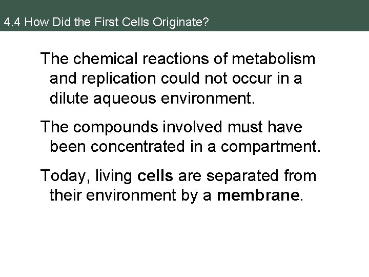 4. 4 How Did the First Cells Originate? The chemical reactions of metabolism and