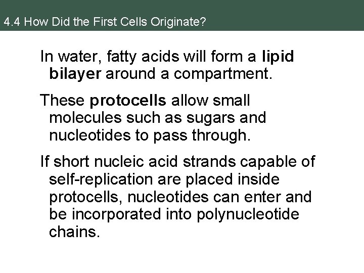 4. 4 How Did the First Cells Originate? In water, fatty acids will form