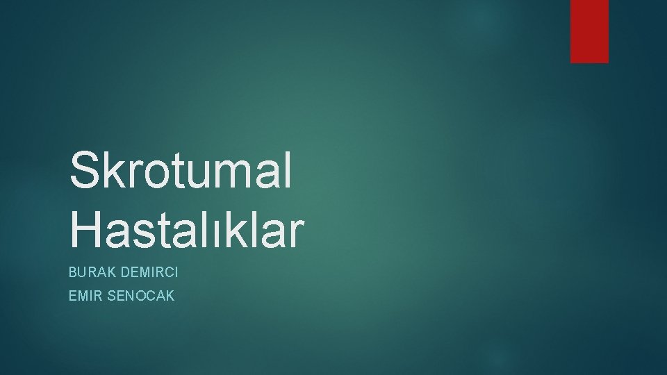 Skrotumal Hastalıklar BURAK DEMIRCI EMIR SENOCAK 