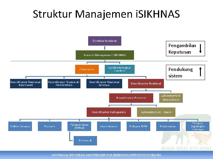 Struktur Manajemen i. SIKHNAS Pengambilan Keputusan Pendukung sistem AUSTRALIA INDONESIA PARTNERSHIP FOR EMERGING INFECTIOUS
