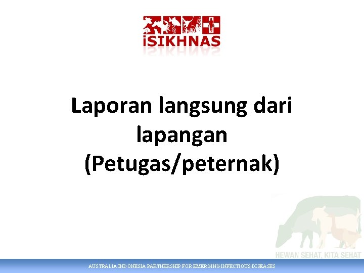 Laporan langsung dari lapangan (Petugas/peternak) AUSTRALIA INDONESIA PARTNERSHIP FOR EMERGING INFECTIOUS DISEASES 