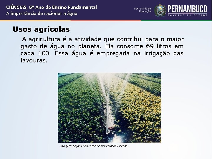 CIÊNCIAS, 6º Ano do Ensino Fundamental A importância de racionar a água Usos agrícolas