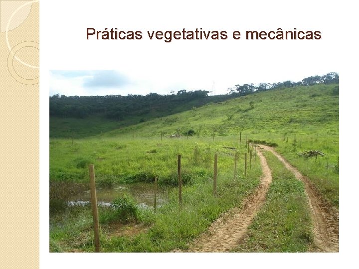 Práticas vegetativas e mecânicas 