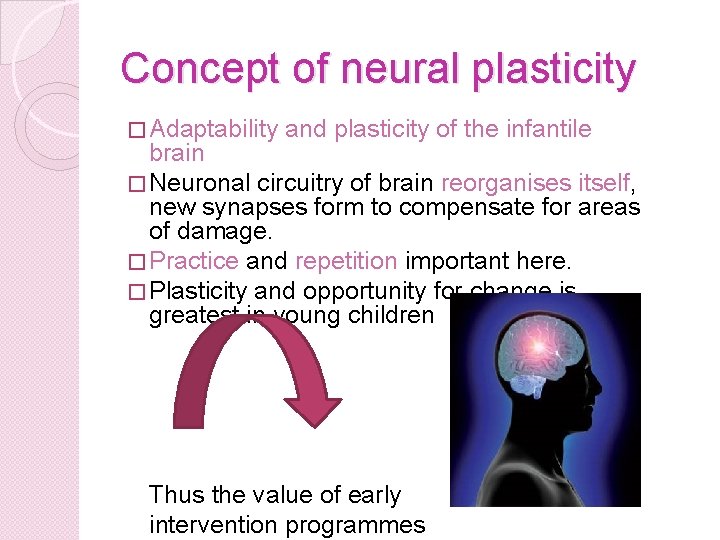Concept of neural plasticity � Adaptability and plasticity of the infantile brain � Neuronal