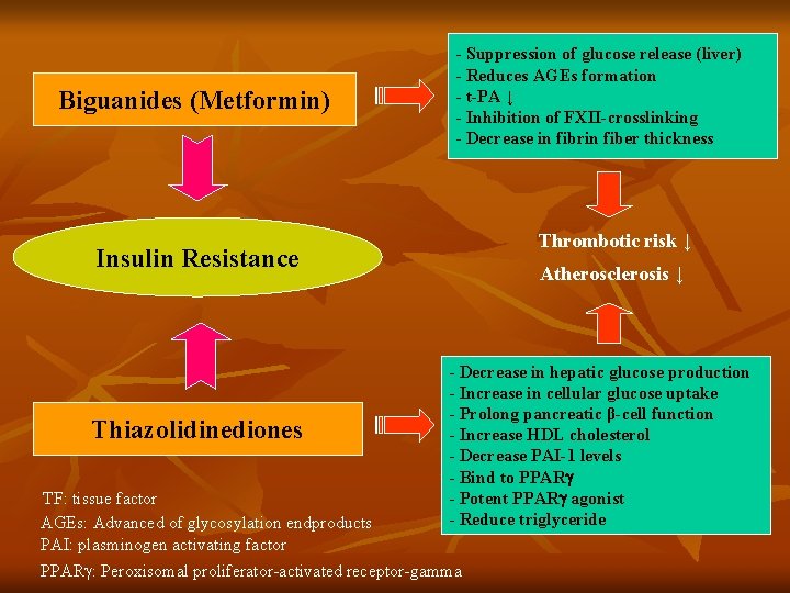 Biguanides (Metformin) - Suppression of glucose release (liver) - Reduces AGEs formation - t-PA