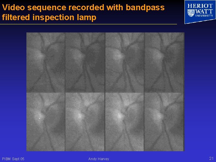 Video sequence recorded with bandpass filtered inspection lamp PIBM Sept 05 Andy Harvey 21