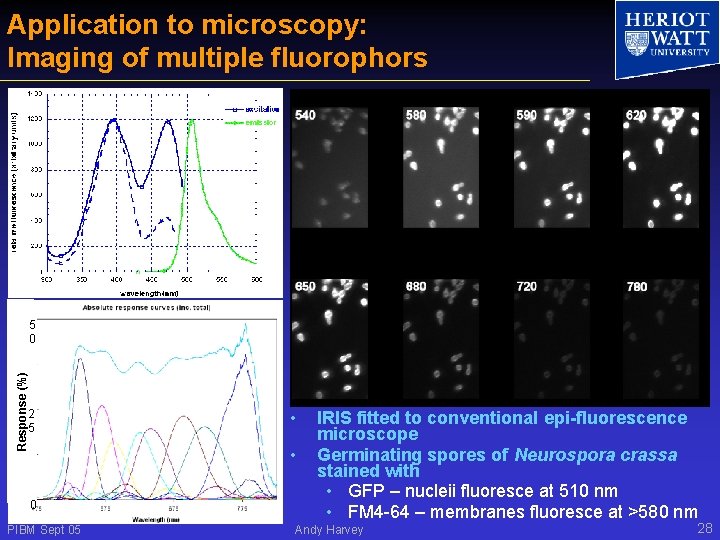 Application to microscopy: Imaging of multiple fluorophors Response (%) 5 0 2 5 •