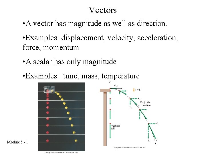 Vectors • A vector has magnitude as well as direction. • Examples: displacement, velocity,