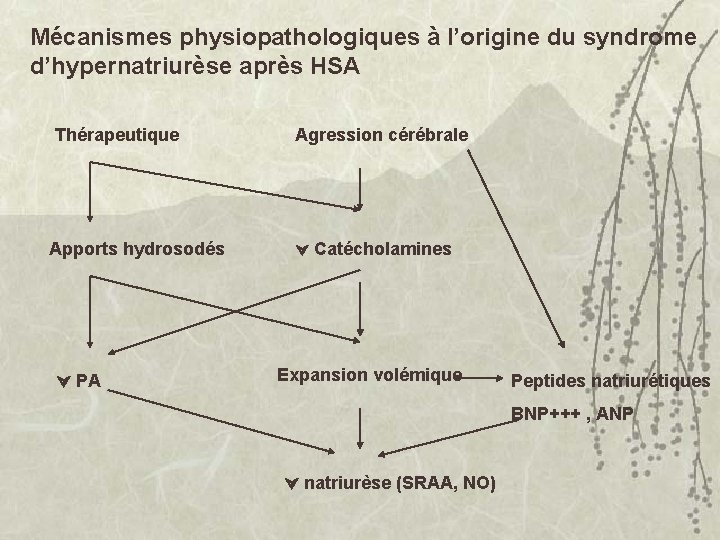 Mécanismes physiopathologiques à l’origine du syndrome d’hypernatriurèse après HSA Thérapeutique Apports hydrosodés PA Agression