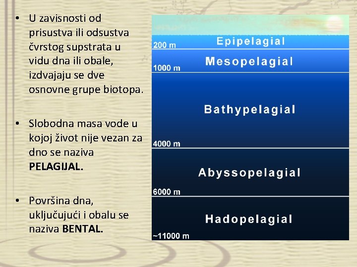  • U zavisnosti od prisustva ili odsustva čvrstog supstrata u vidu dna ili