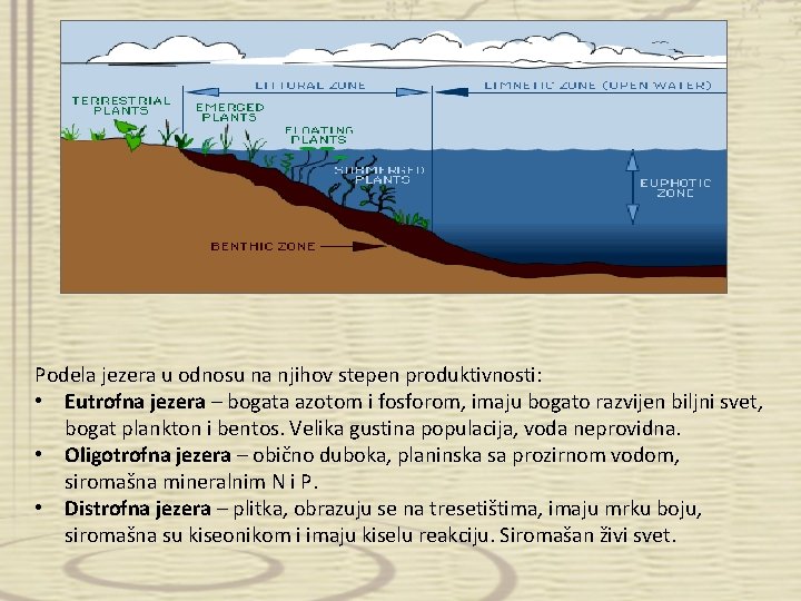 Podela jezera u odnosu na njihov stepen produktivnosti: • Eutrofna jezera – bogata azotom