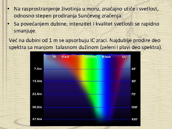  • Na rasprostranjenje životinja u moru, značajno utiče i svetlost, odnosno stepen prodiranja