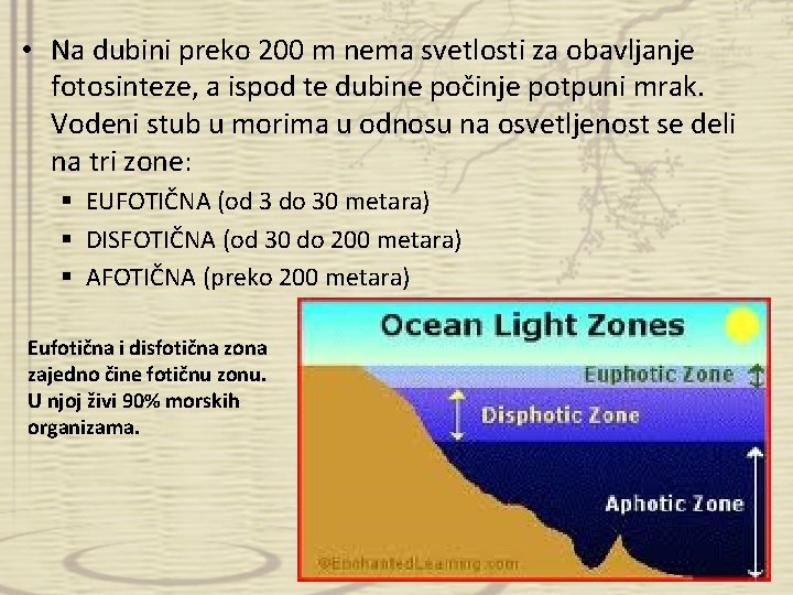  • Na dubini preko 200 m nema svetlosti za obavljanje fotosinteze, a ispod