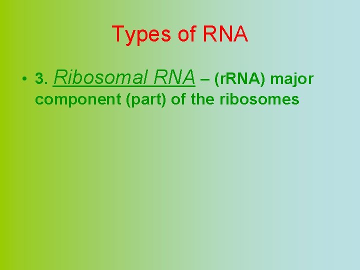 Types of RNA • 3. Ribosomal RNA – (r. RNA) major component (part) of