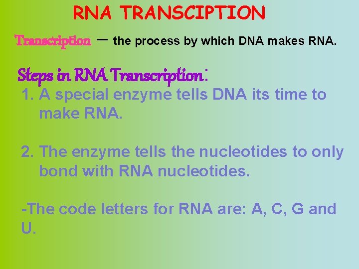 RNA TRANSCIPTION Transcription – the process by which DNA makes RNA. Steps in RNA