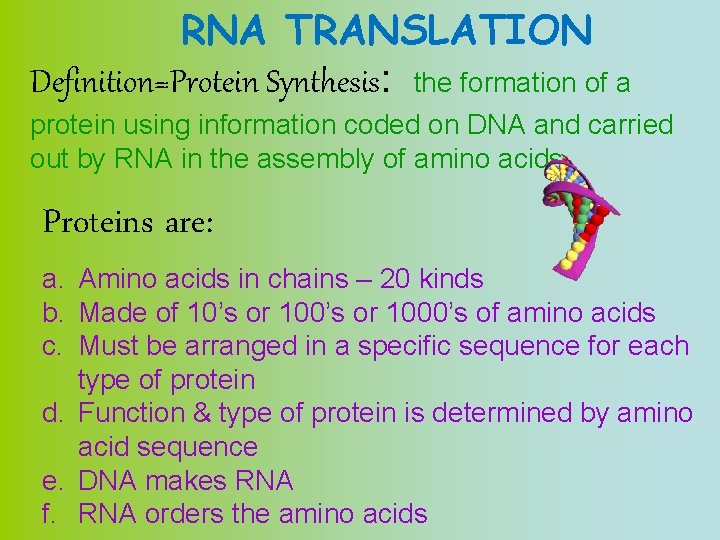 RNA TRANSLATION Definition=Protein Synthesis: the formation of a protein using information coded on DNA