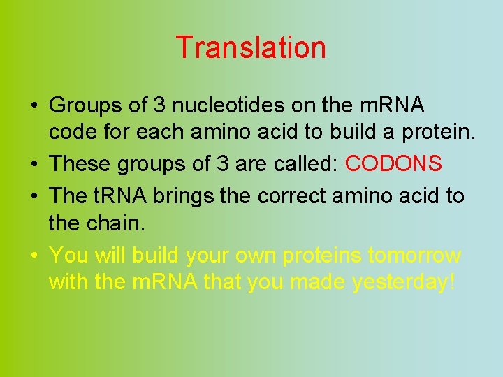 Translation • Groups of 3 nucleotides on the m. RNA code for each amino