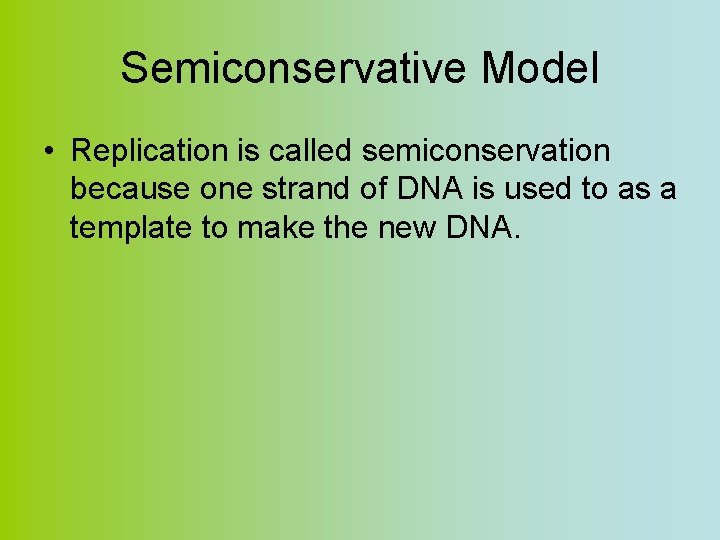 Semiconservative Model • Replication is called semiconservation because one strand of DNA is used