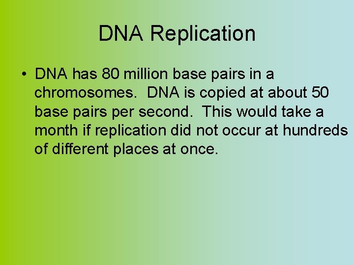 DNA Replication • DNA has 80 million base pairs in a chromosomes. DNA is