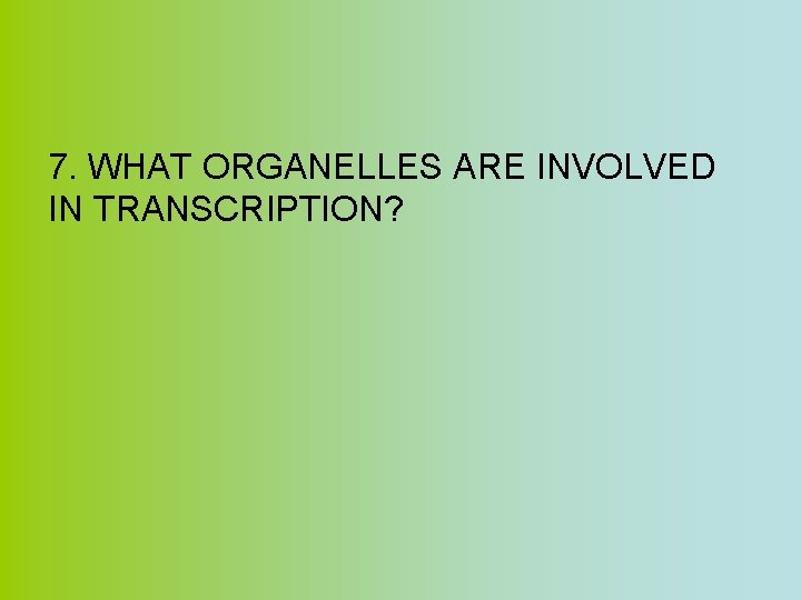 7. WHAT ORGANELLES ARE INVOLVED IN TRANSCRIPTION? 