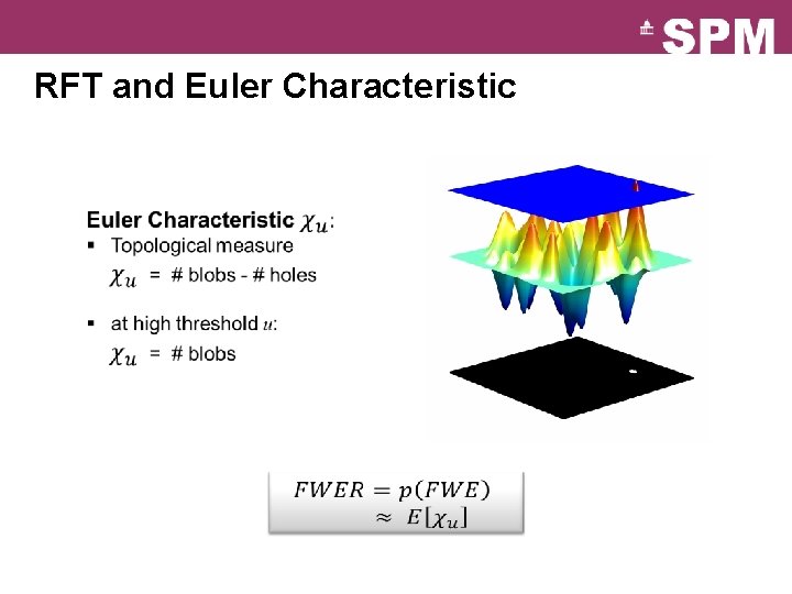 RFT and Euler Characteristic 