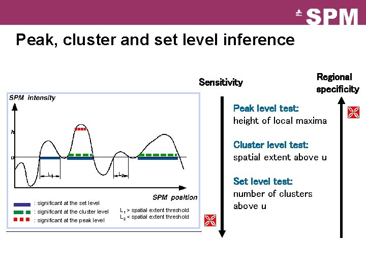 Peak, cluster and set level inference Sensitivity Regional specificity Peak level test: height of