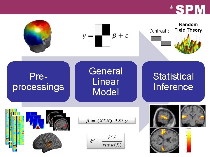 Random Contrast c Field Theory General Linear Model Preprocessings Statistical Inference 