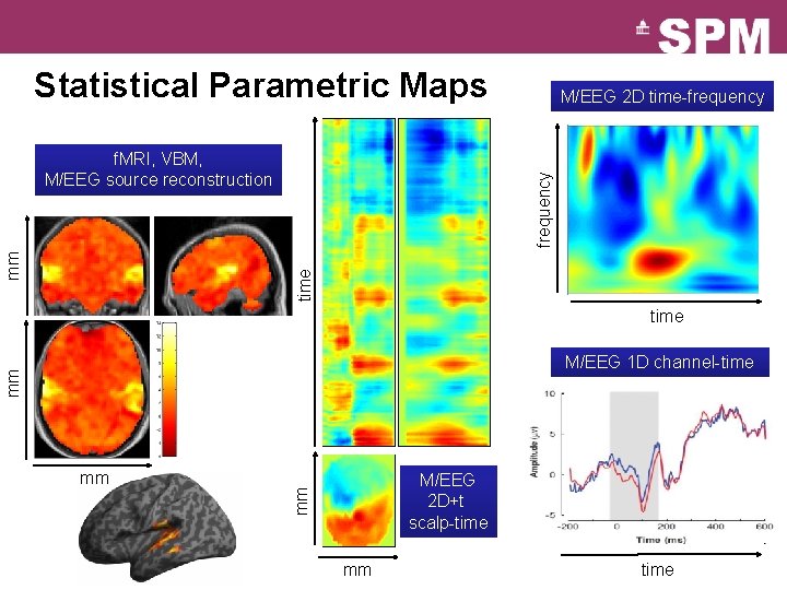 Statistical Parametric Maps frequency time mm f. MRI, VBM, M/EEG source reconstruction M/EEG 2