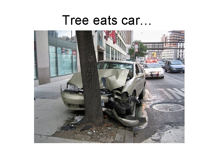 Tree eats car… 