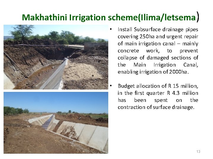 Makhathini Irrigation scheme(Ilima/letsema) • Install Subsurface drainage pipes covering 250 ha and urgent repair