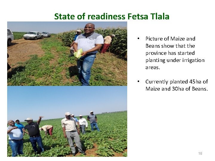 State of readiness Fetsa Tlala • Picture of Maize and Beans show that the