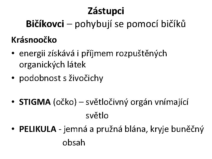 Zástupci Bičíkovci – pohybují se pomocí bičíků Krásnoočko • energii získává i příjmem rozpuštěných