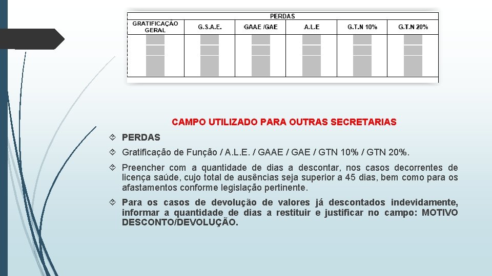 CAMPO UTILIZADO PARA OUTRAS SECRETARIAS PERDAS Gratificação de Função / A. L. E. /