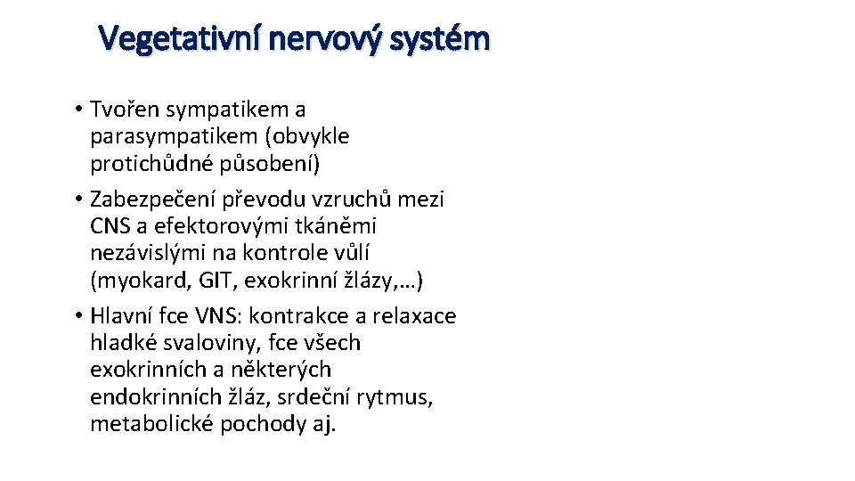 Vegetativní nervový systém • Tvořen sympatikem a parasympatikem (obvykle protichůdné působení) • Zabezpečení převodu