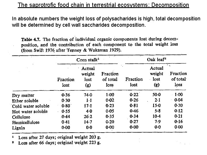 The saprotrofic food chain in terrestrial ecosystems: Decomposition In absolute numbers the weight loss