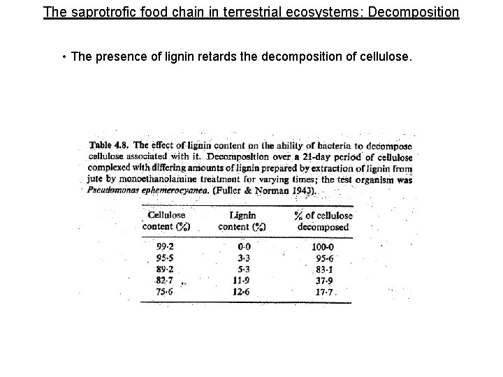 The saprotrofic food chain in terrestrial ecosystems: Decomposition • The presence of lignin retards