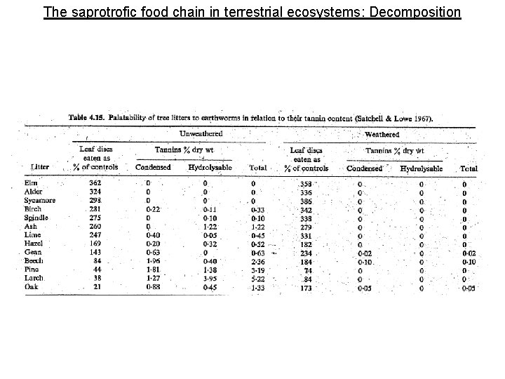 The saprotrofic food chain in terrestrial ecosystems: Decomposition 
