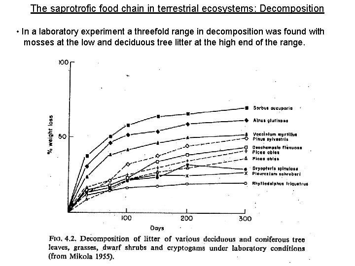 The saprotrofic food chain in terrestrial ecosystems: Decomposition • In a laboratory experiment a